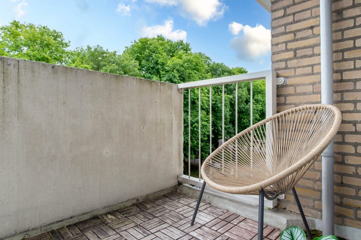 Foto 19 van Ravellaan 109