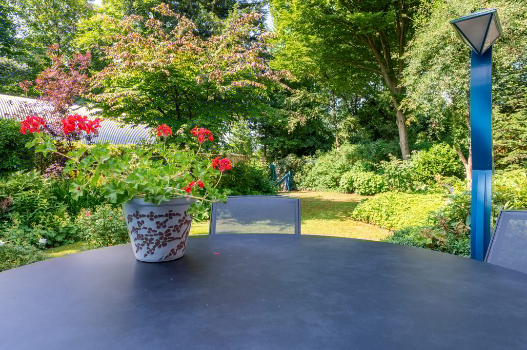 Foto 62 van Krachtighuizerweg 29-D