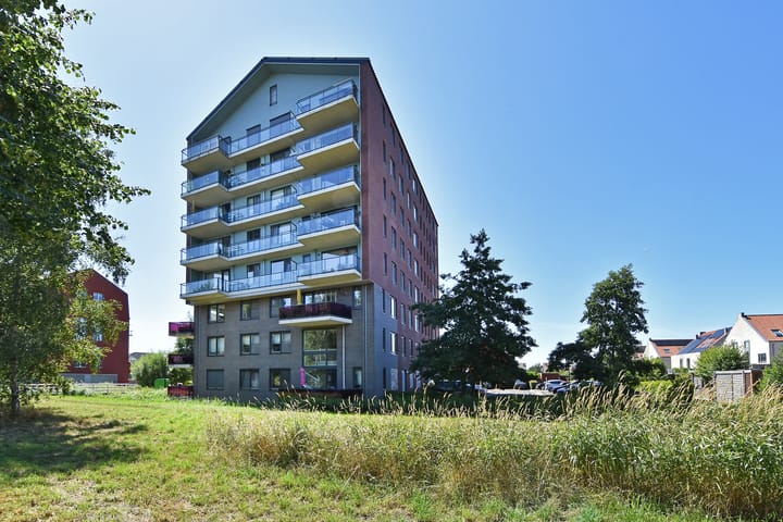 View photo of Koegelwieckplantsoen 71