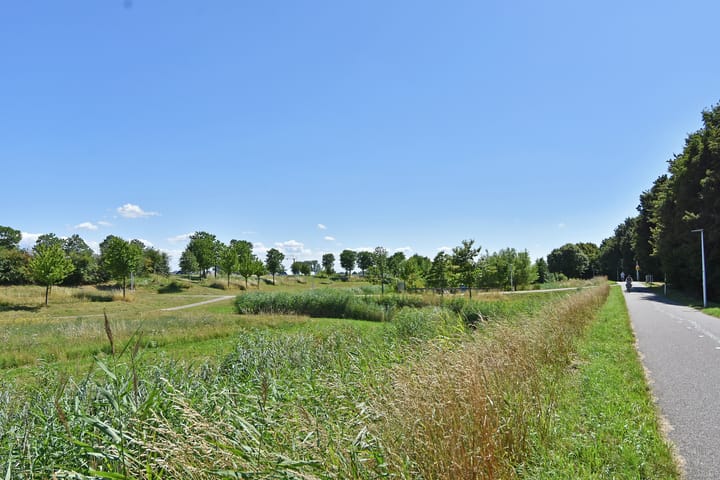 Foto 33 van Koegelwieckplantsoen 71