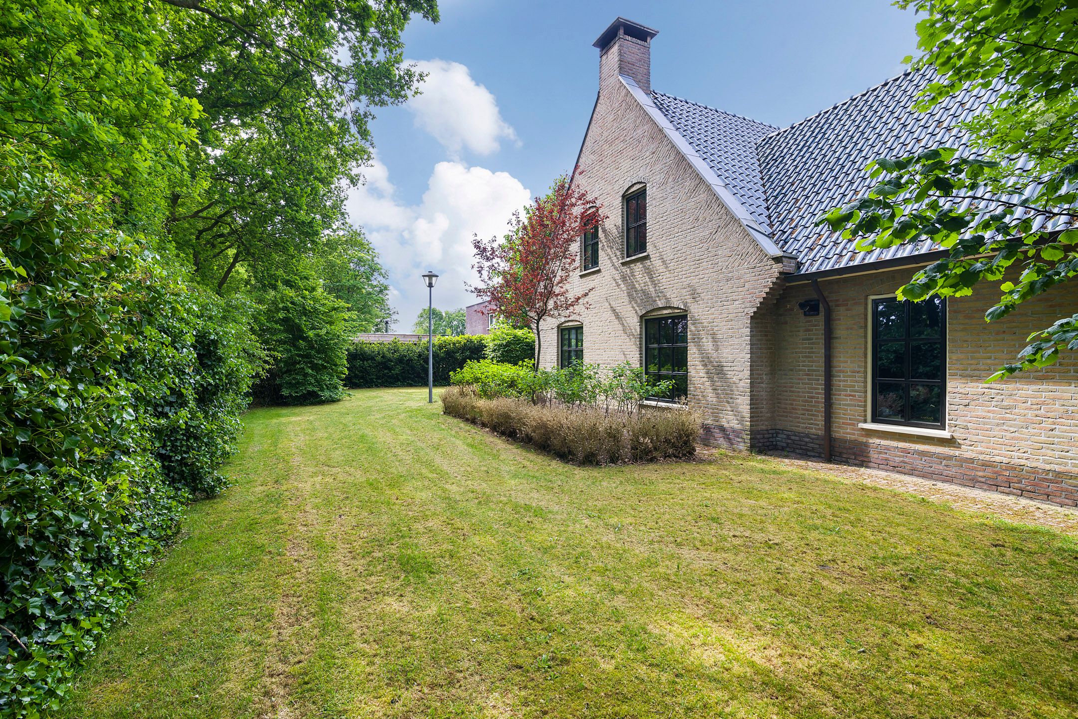 Foto 12 van Suvelstrjitte 5