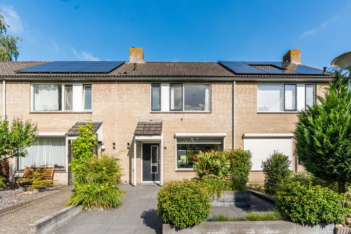 Foto 1 van Krijgertje 14