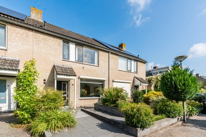 Foto 7 van Krijgertje 14