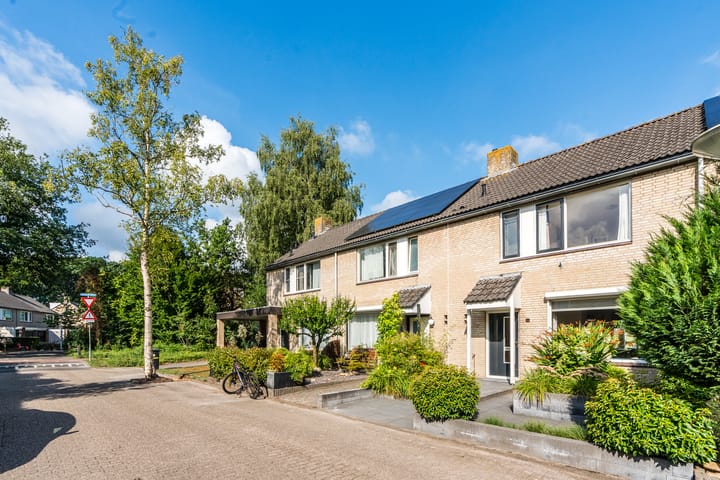 Foto 8 van Krijgertje 14