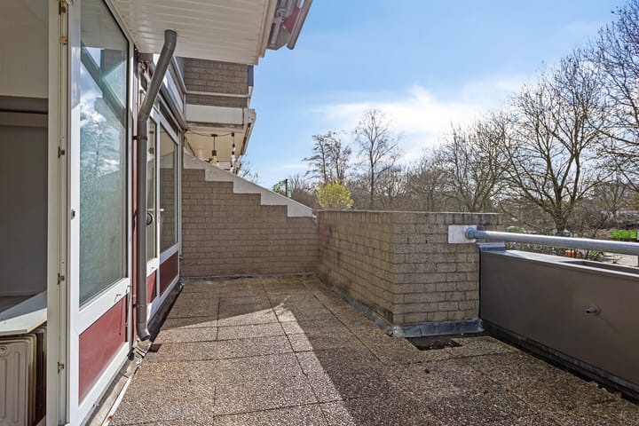 Foto 12 van Rottumerplaat 14