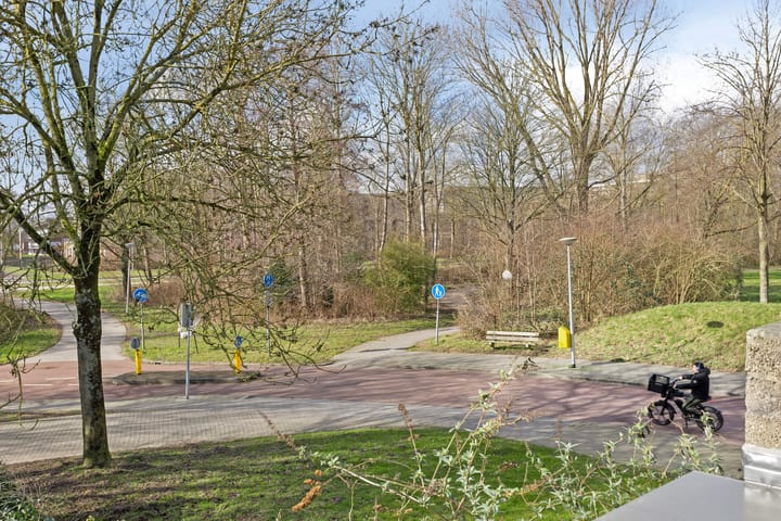 Foto 14 van Rottumerplaat 14