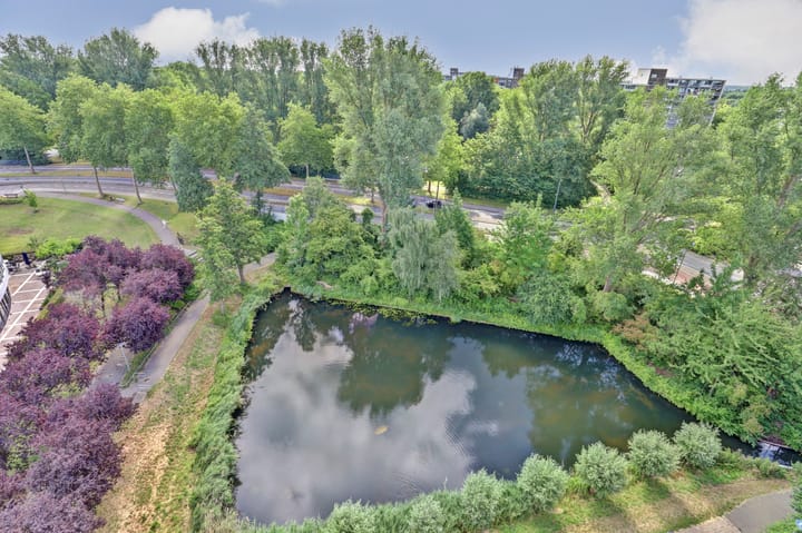 Foto 1 van Octant 71