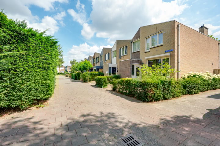 Foto 6 van Twintighoven 41