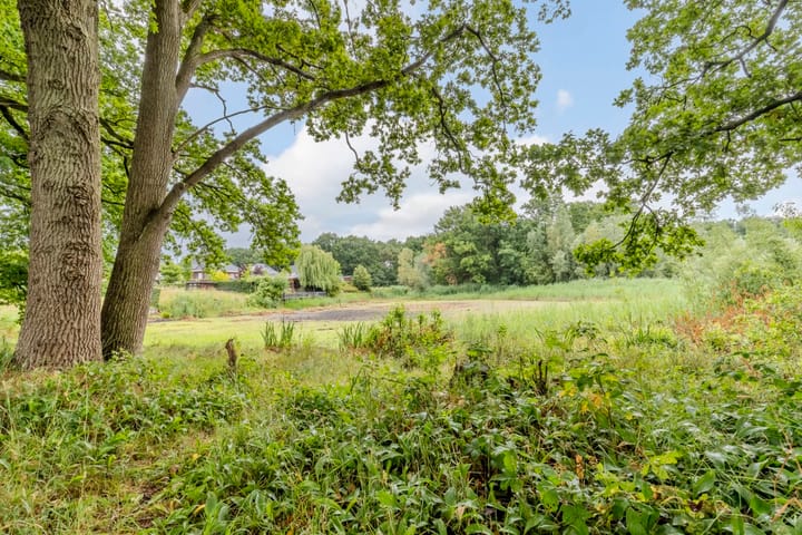 Foto 48 van de Groenling 26