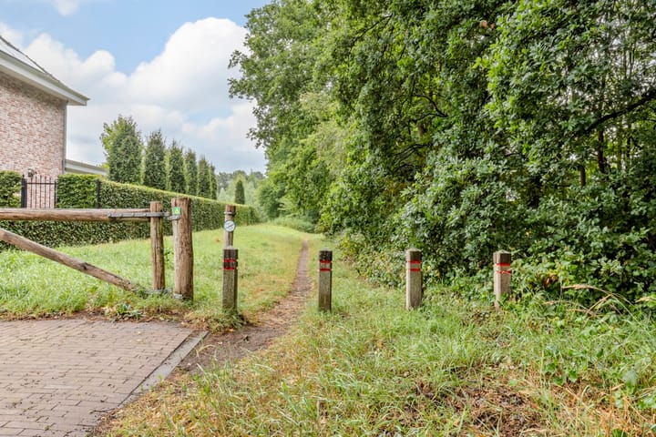 Foto 49 van de Groenling 26