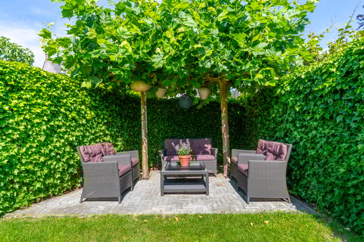 Foto 28 van Prattenburg 35