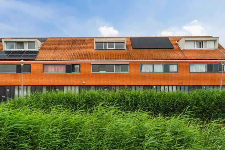 Photo 42 of Van Essendijk 113