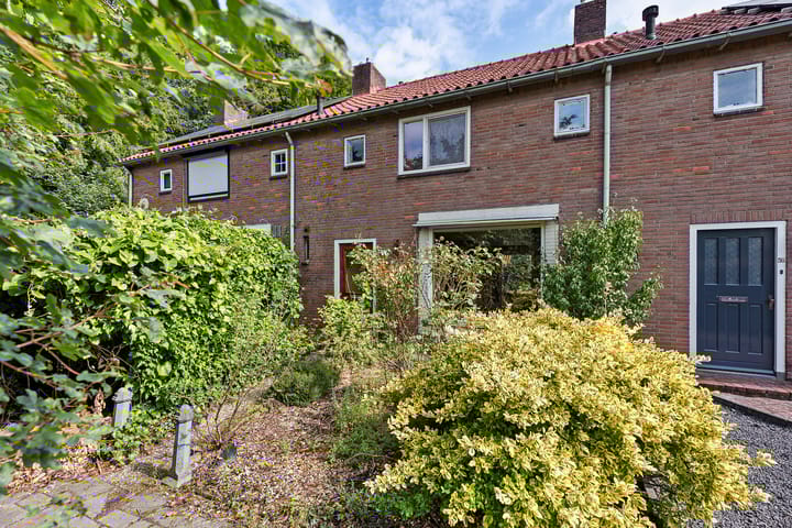 Foto 5 van Jachthondenstraat 61