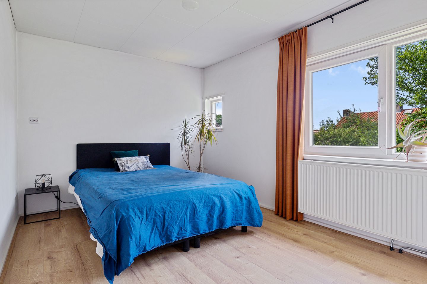 Photo 19 of Jachthondenstraat 61