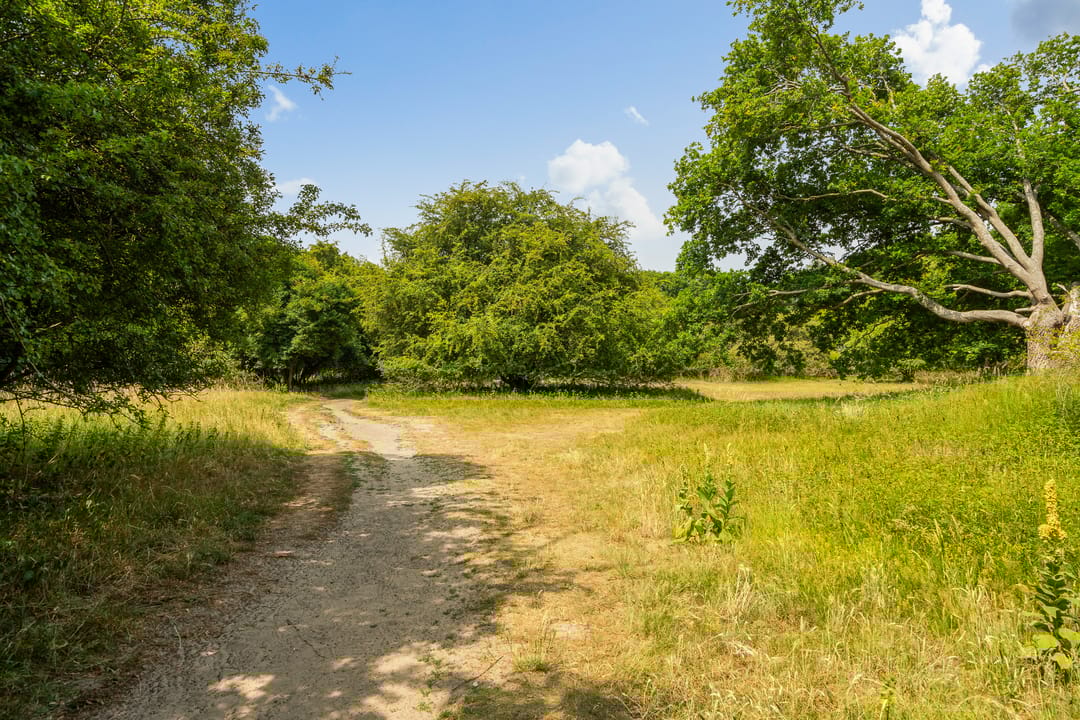 Photo 53 of Van Alkemadelaan 1040