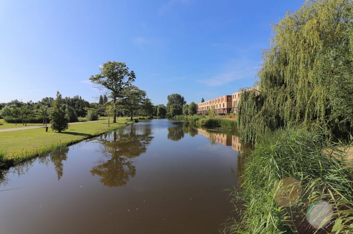 Foto 32 van Johan de Wittstraat 232