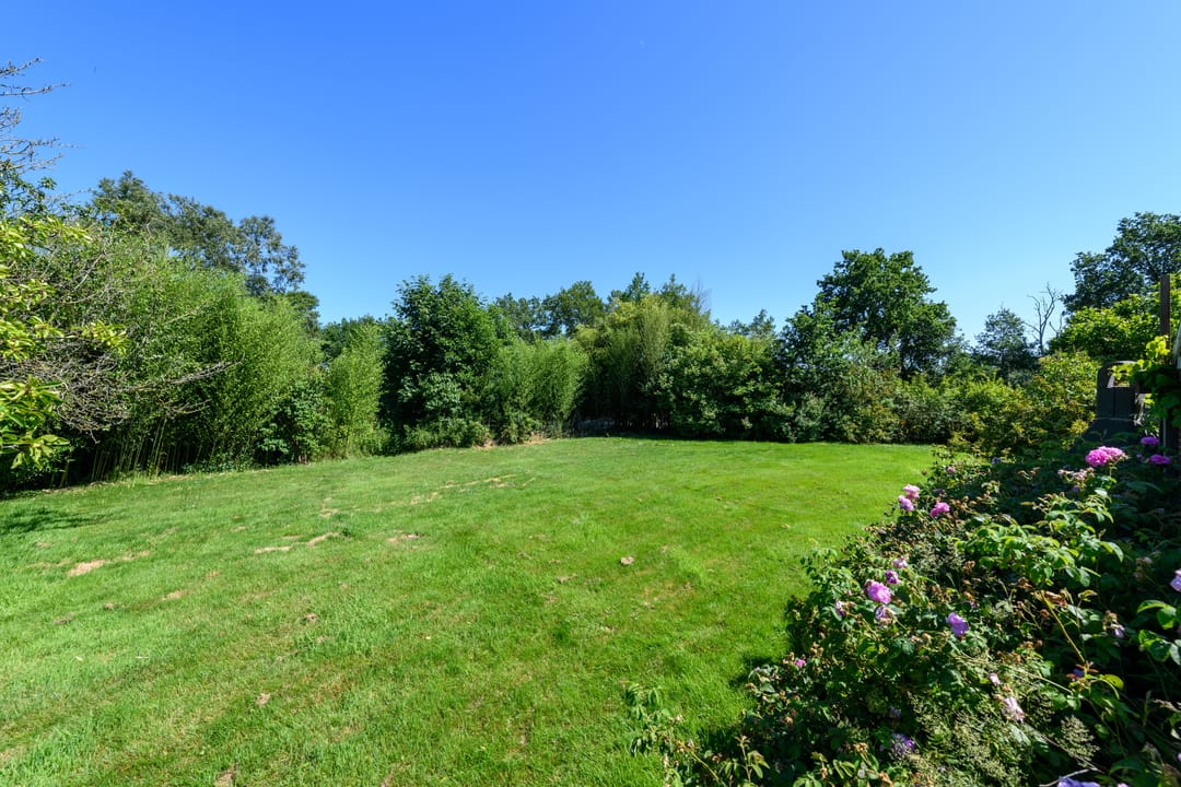 Photo 58 of Blauwhuisterweg 52