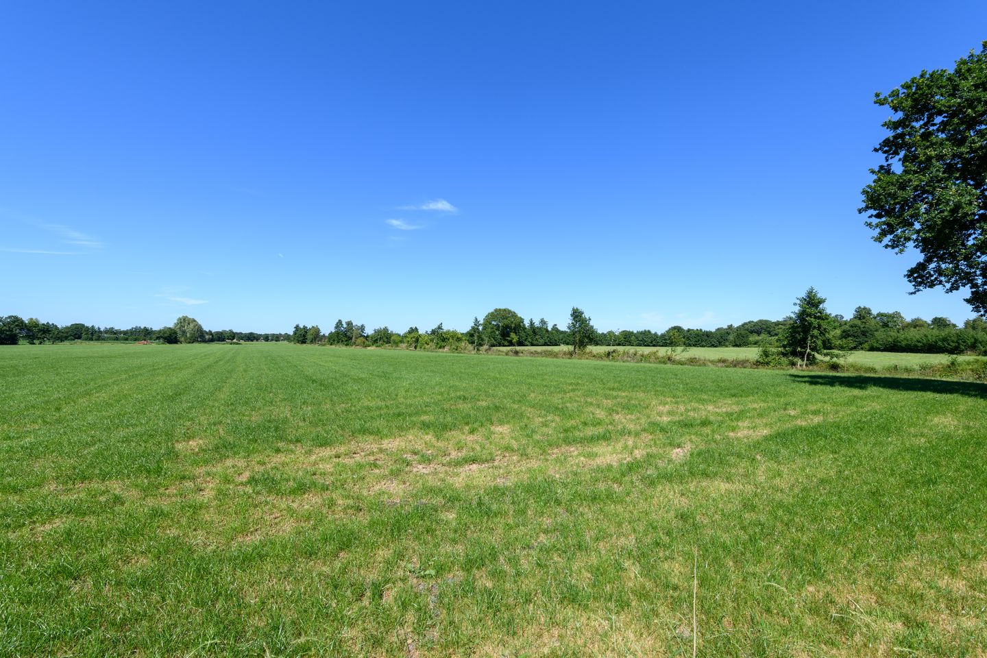 Photo 59 of Blauwhuisterweg 52