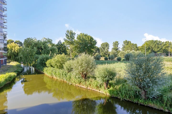 Foto 20 van Thetfordstraat 84