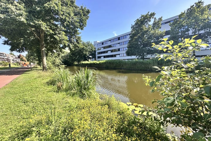 Photo 23 of Landszoom 6