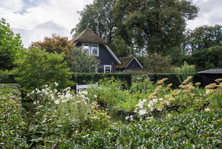 Photo 33 of Hoog Soeren 105