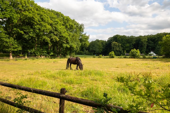 Photo 84 of Hoog Soeren 105
