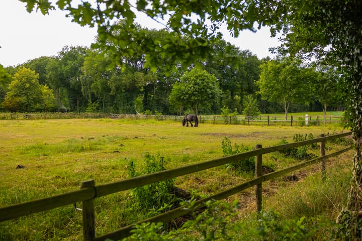 Photo 85 of Hoog Soeren 105