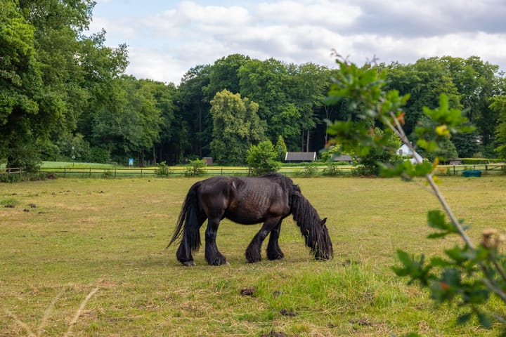 Photo 86 of Hoog Soeren 105
