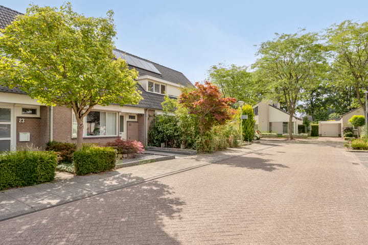 Foto 4 van Ekster 25