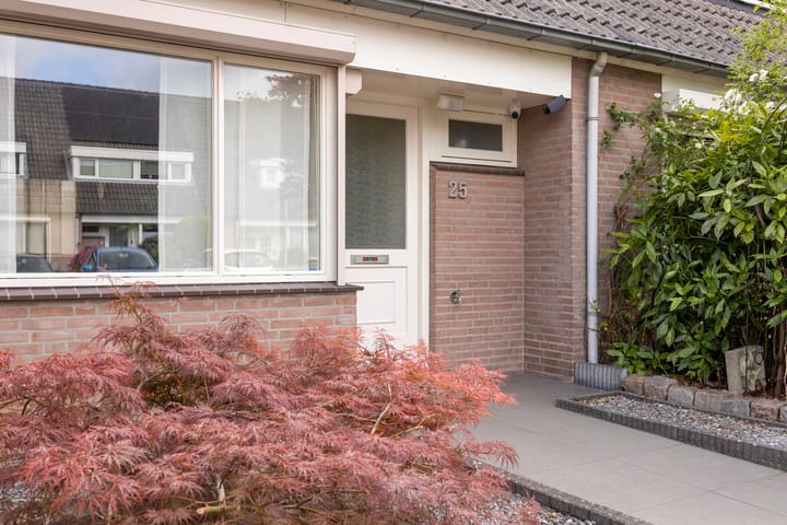 Foto 37 van Ekster 25