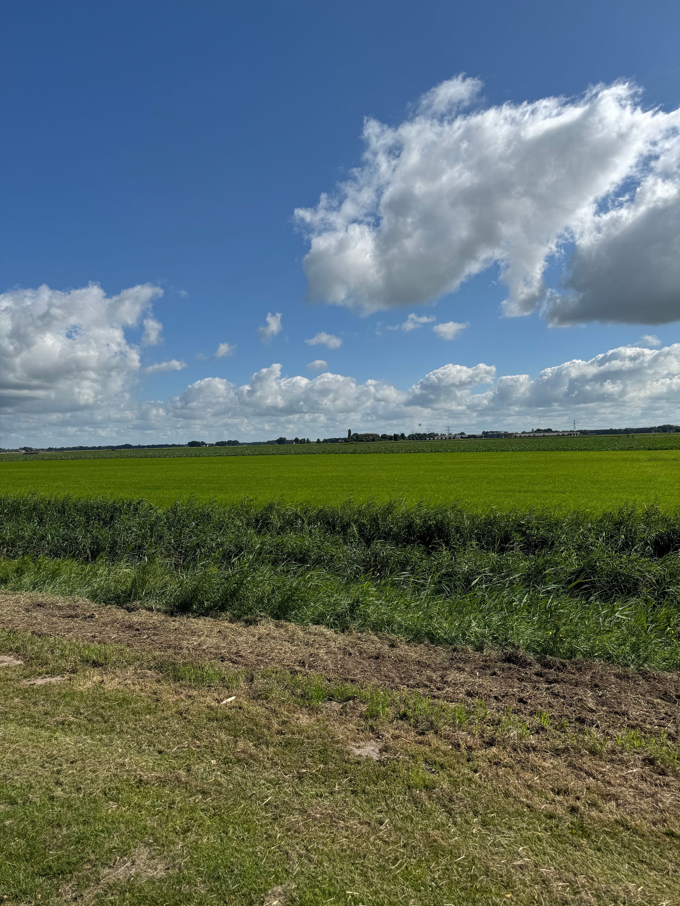 Foto 3 van Raiffeisenstraat 41