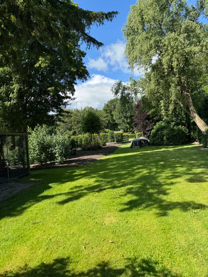 Foto 6 van Raiffeisenstraat 41