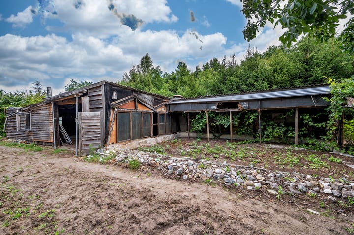 Foto 64 van De Zaar 4