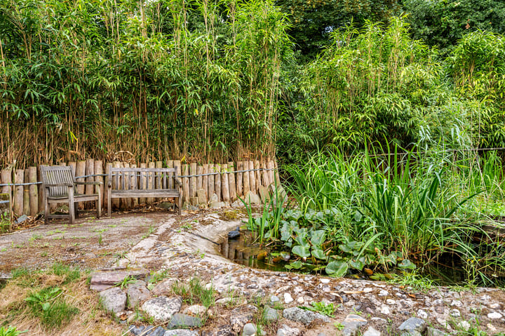 Foto 66 van De Zaar 4