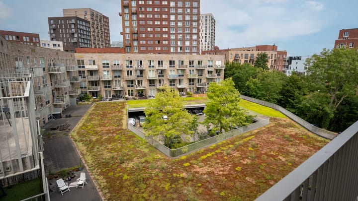 Foto 11 van Sigmaplantsoen 110