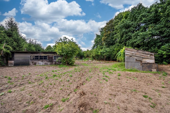 Foto 67 van De Zaar 4