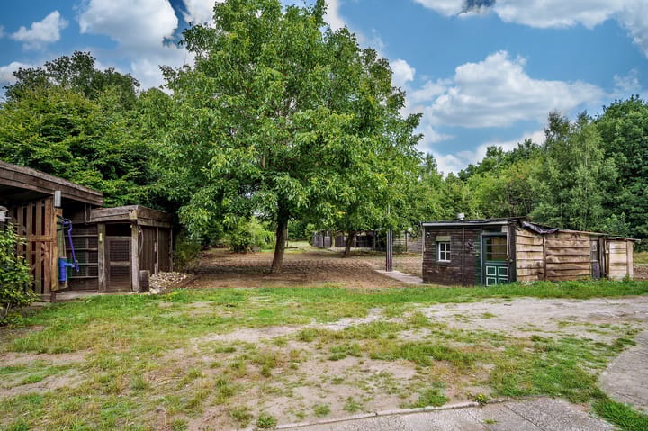 Foto 71 van De Zaar 4