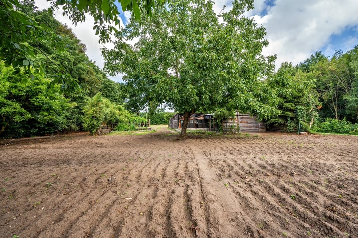 Foto 72 van De Zaar 4