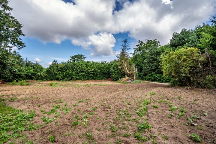 Foto 73 van De Zaar 4