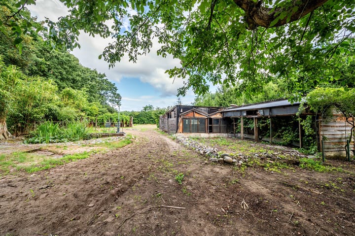 Foto 74 van De Zaar 4