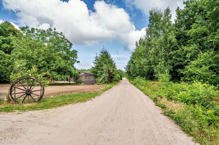 Foto 76 van De Zaar 4