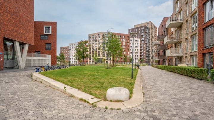 Foto 43 van Sigmaplantsoen 110