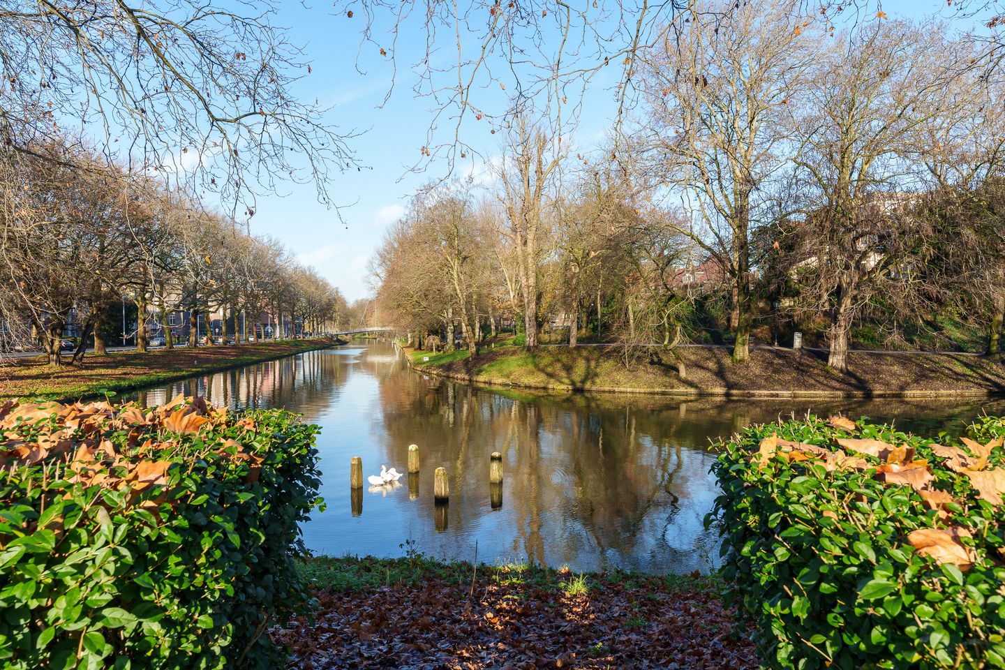 Foto 19 van Jeremiestraat 8