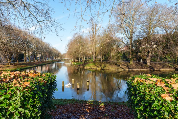 Foto 19 van Jeremiestraat 8