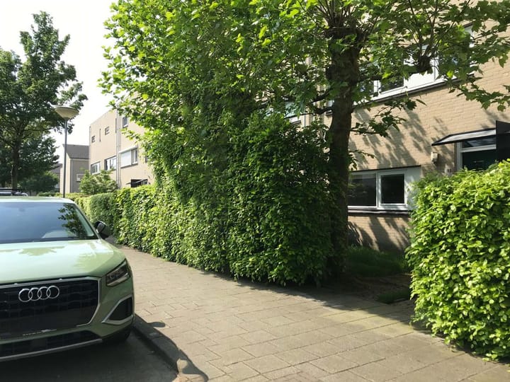 Foto 2 van Grote Vos 13