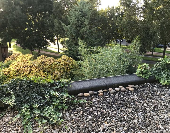 Foto 26 van Grote Vos 13