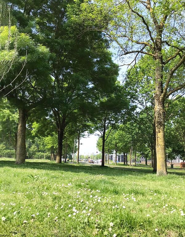 Foto 31 van Grote Vos 13