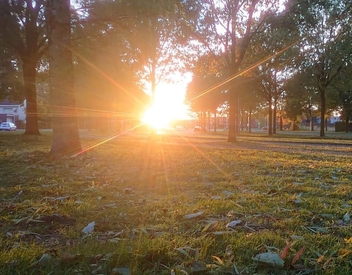 Foto 32 van Grote Vos 13