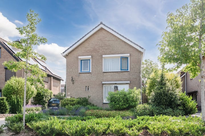 Foto 43 van Rode Schouw 34