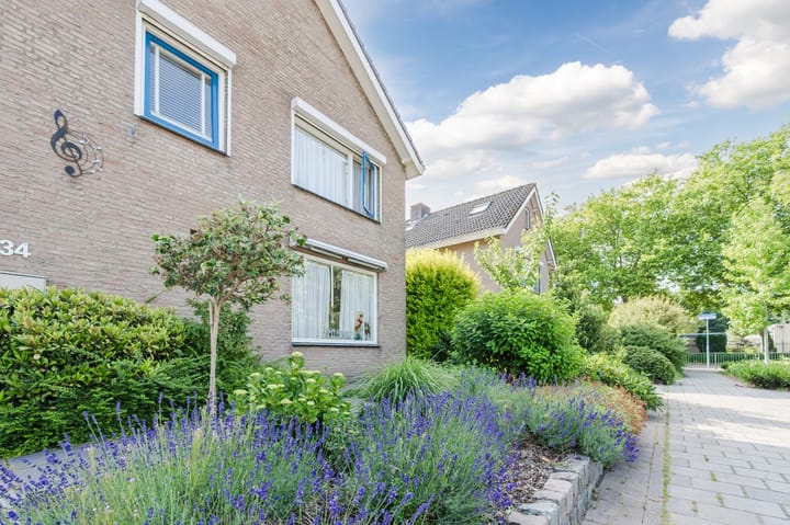 Foto 44 van Rode Schouw 34